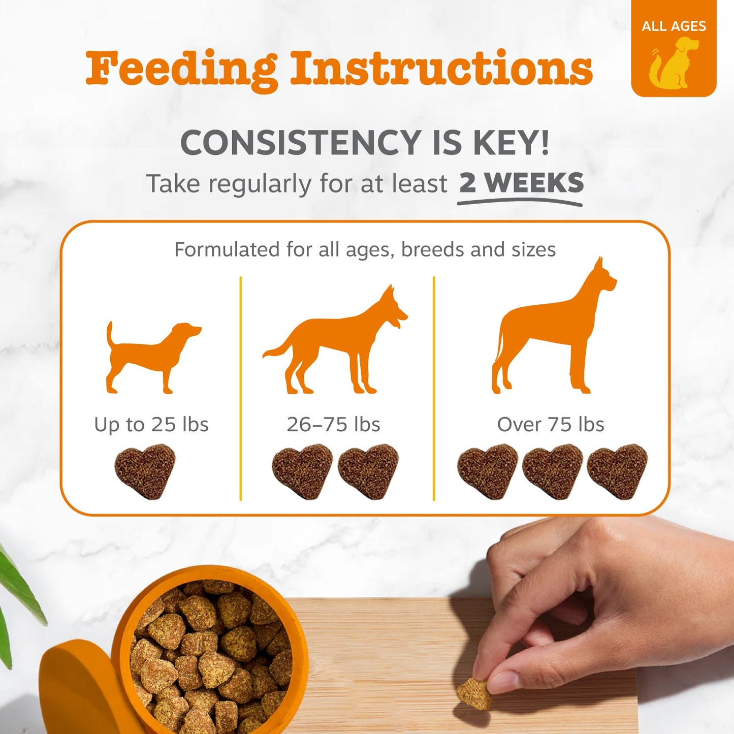 Zesty Paws Probiotic Bites™ 6-Strain Digestive Health Supplement