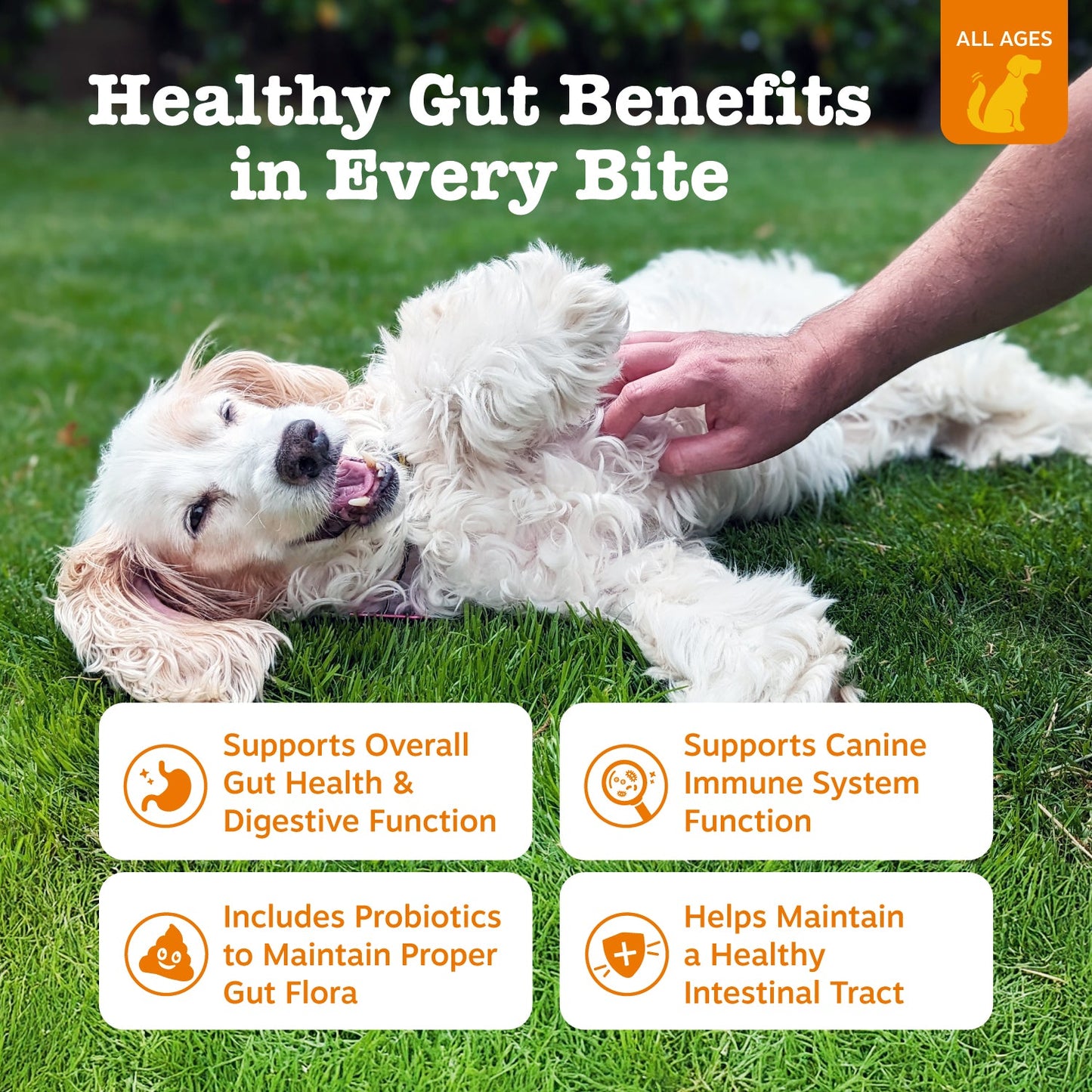 Zesty Paws Probiotic Bites™ 6-Strain Digestive Health Supplement