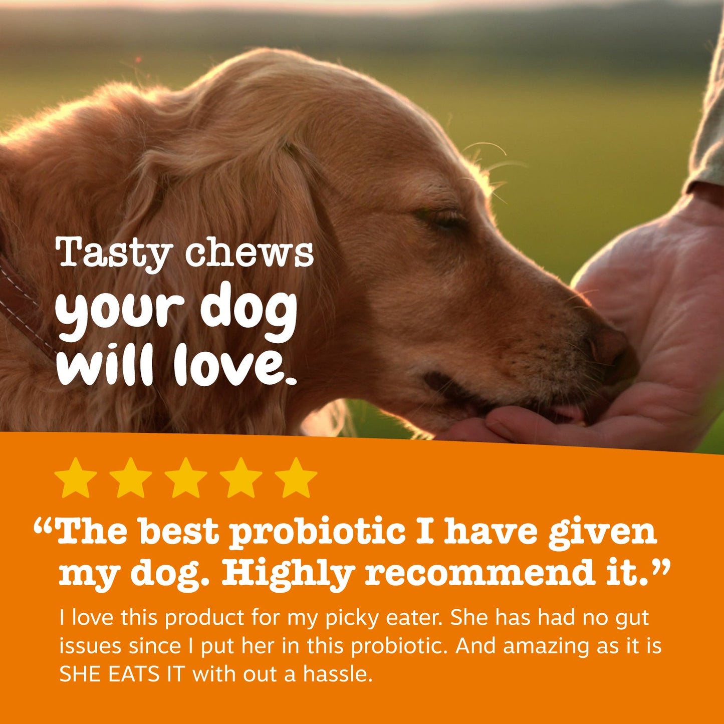 Zesty Paws Probiotic Bites™ 6-Strain Digestive Health Supplement