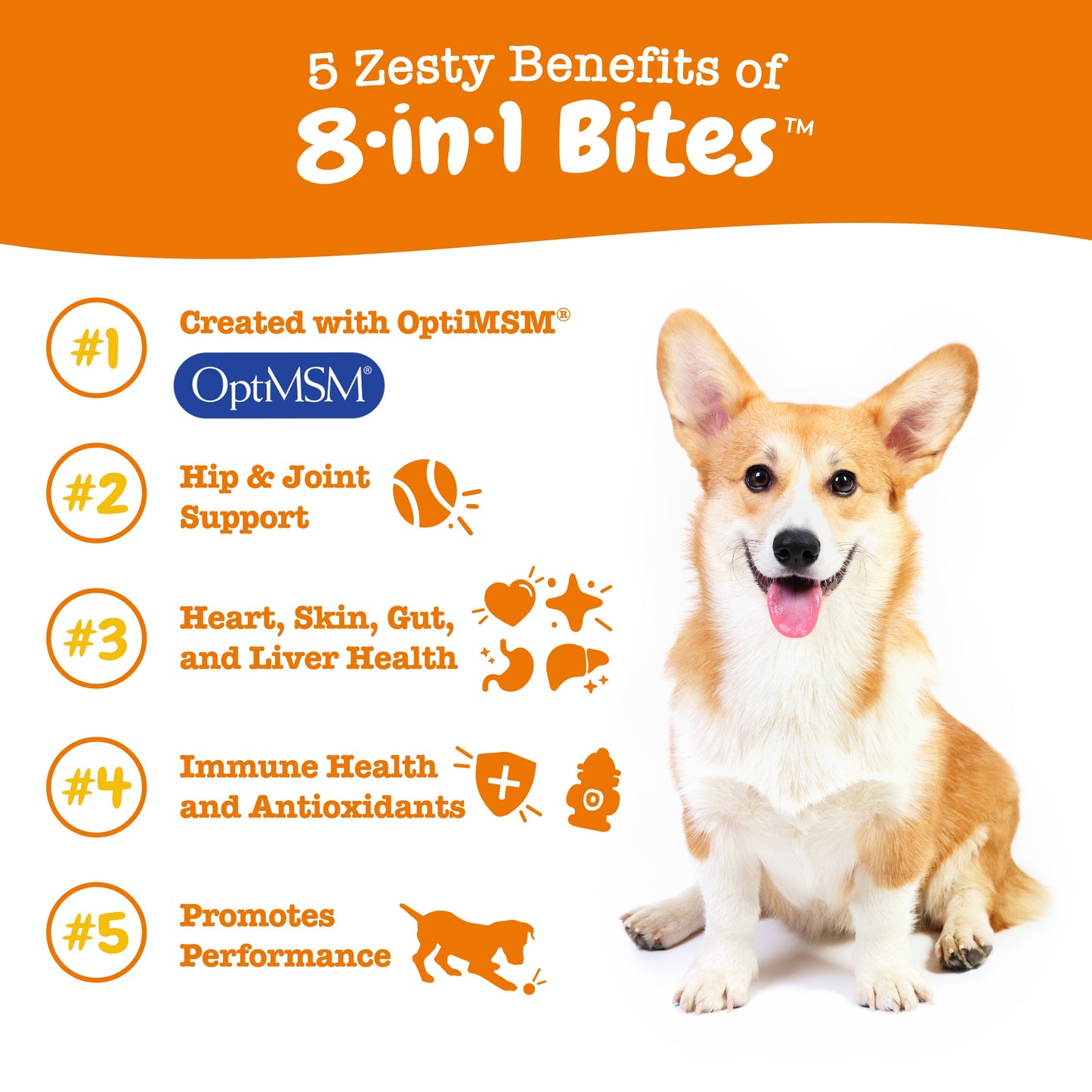 8-in-1 Multivitamin Bites for Dogs