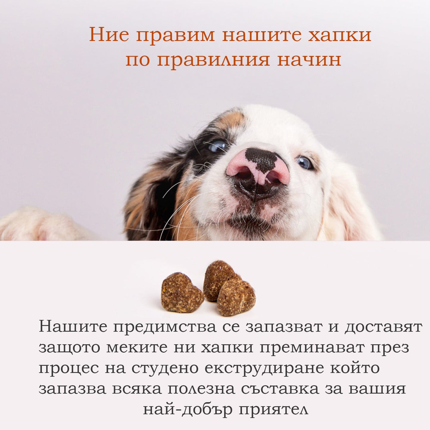 Пробиотични хапки за кучета – 6 щама за здрава храносмилателна система