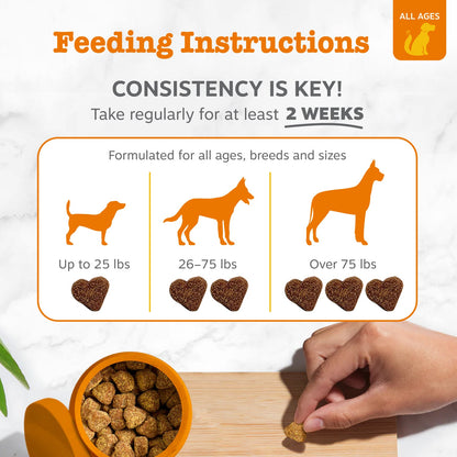 Zesty Paws Probiotic Bites™  6-Strain Digestive Health Supplement