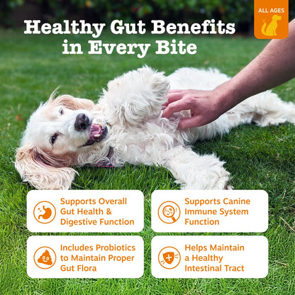 Zesty Paws Probiotic Bites™  6-Strain Digestive Health Supplement