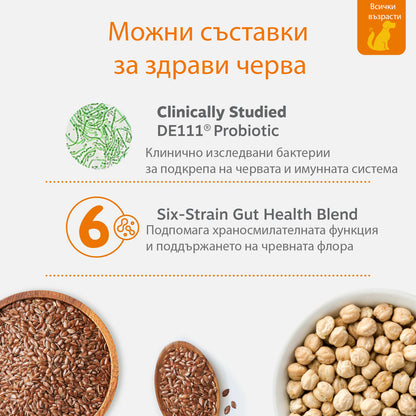 Пробиотични хапки за кучета – 6 щама за здрава храносмилателна система