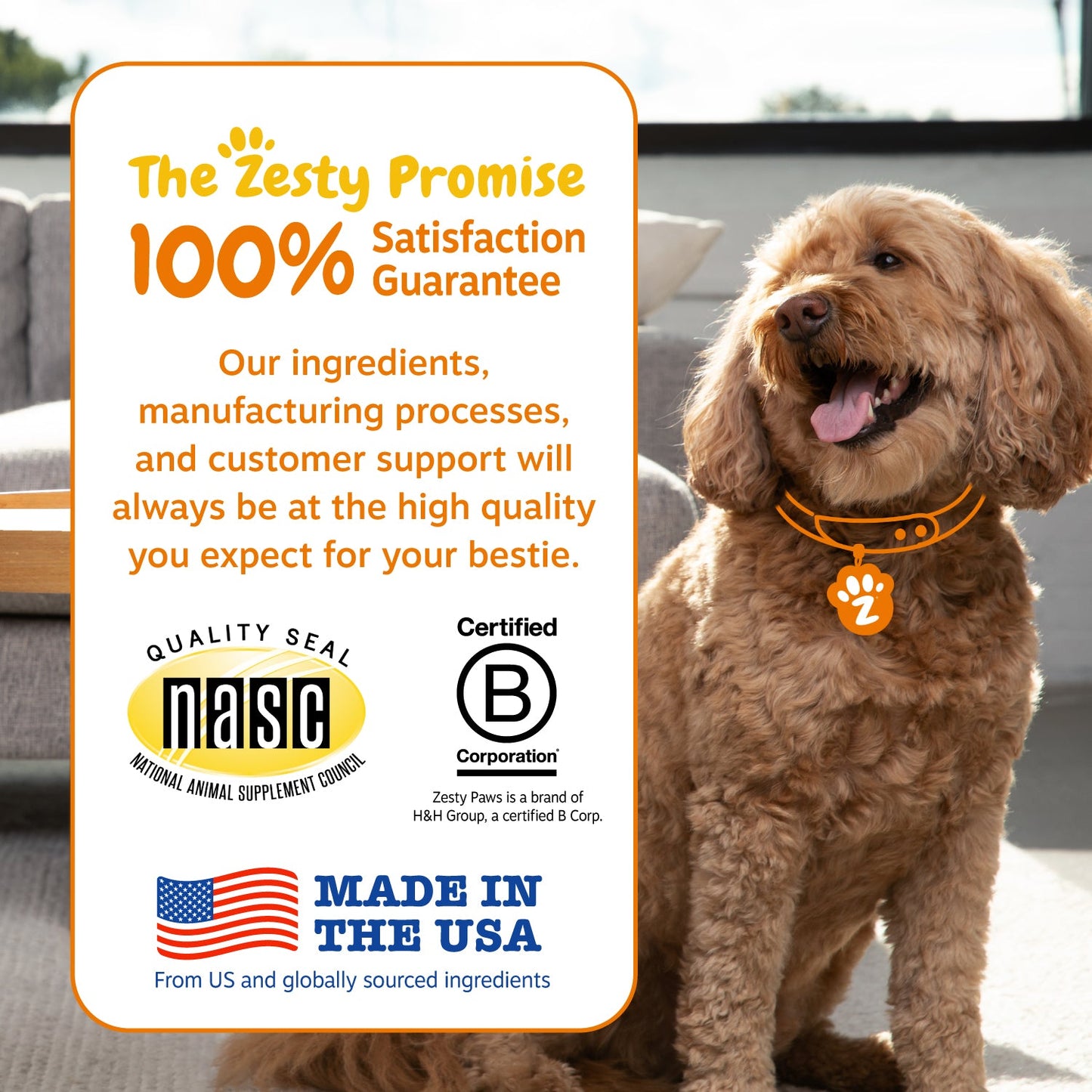 Zesty Paws Probiotic Bites™  6-Strain Digestive Health Supplement