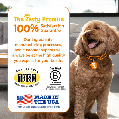 Zesty Paws Probiotic Bites™  6-Strain Digestive Health Supplement